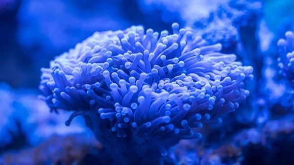 milano fine settimana
