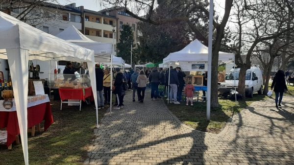 Busto mercato contadino frutta