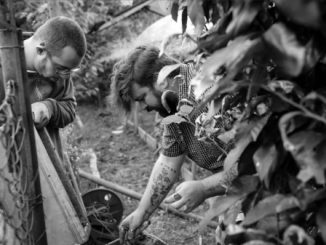 Busto natura arte mostra