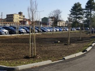 canegrate progetto spugna