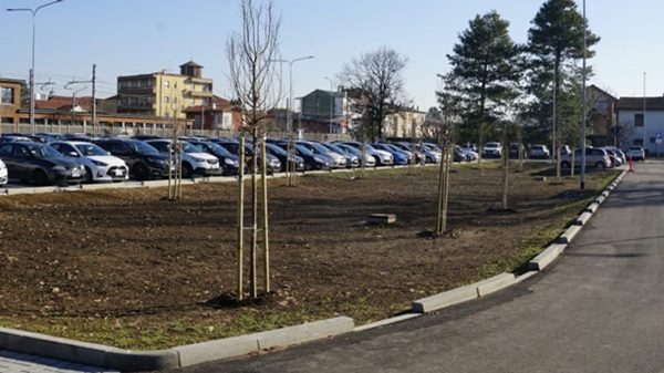 canegrate progetto spugna