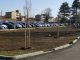 canegrate progetto spugna