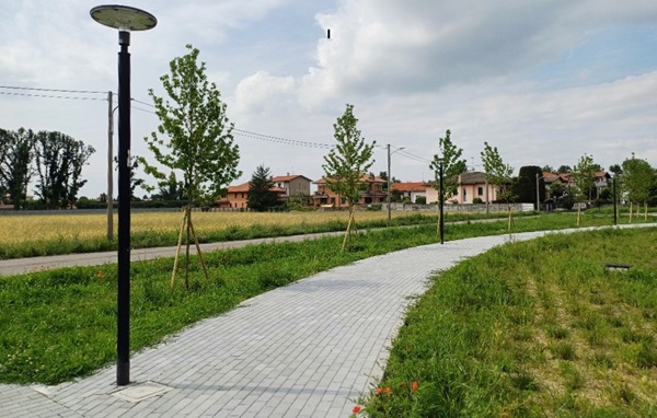 canegrate progetto spugna
