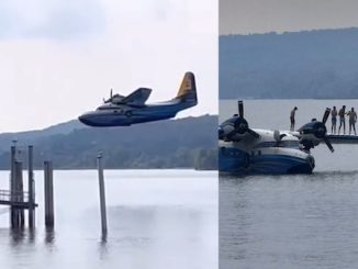 Angera albatross lago maggiore