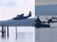 Angera albatross lago maggiore