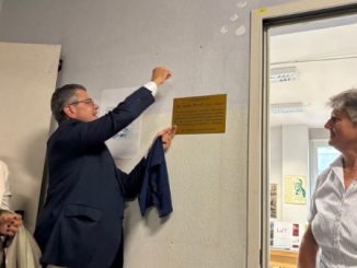 Gallarate licei viale tigli