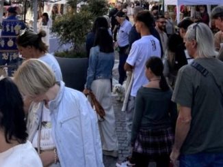 Gallarate Manzoni mercatini eventi