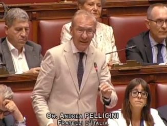 Giustizia separazione carriere pellicini