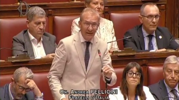 Giustizia separazione carriere pellicini