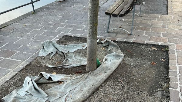 Sesto Calende degrado fiume