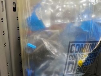 Sesto raccolta plastica regole