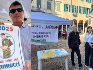 varese vannacci insubria