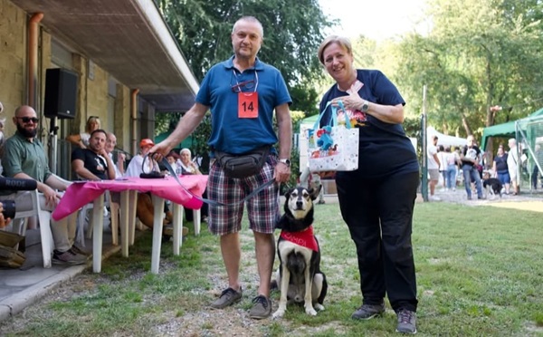 legnano canile animali pal
