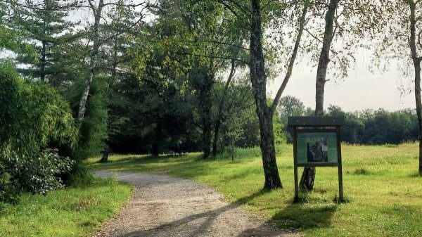 angera sentiero delle farfalle