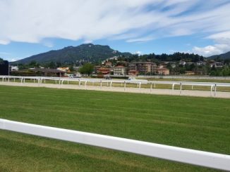 ippodromo varese ricorso tar