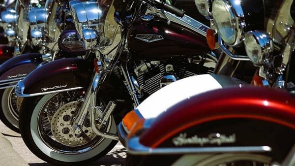 mornago motori justice monkey