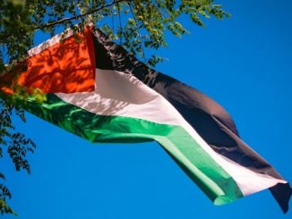 Busto mozione pro gaza