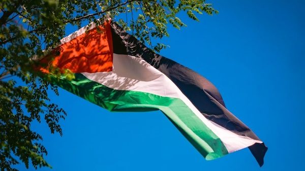 Busto mozione pro gaza
