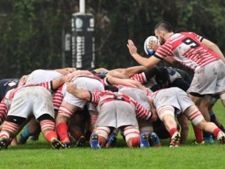 rugby varese 50 anni