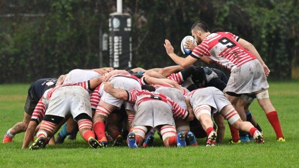 rugby varese 50 anni