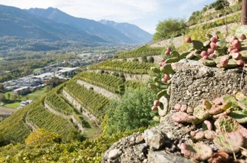 valtellina
