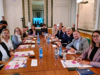 violenza donne disabili varese