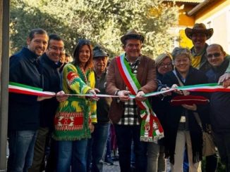 Albizzate festa contadina museo