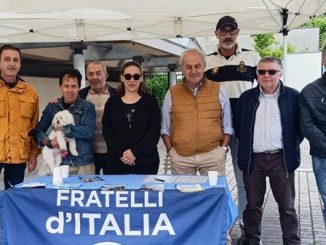 albizzate fdi centrodestra confronto