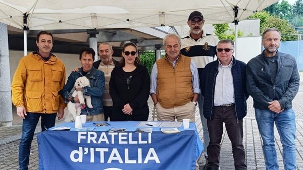 albizzate fdi centrodestra confronto