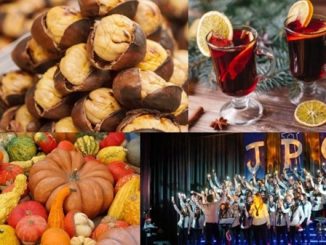 varese provincia eventi weekend