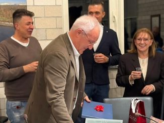 vizzola viviana betto pensione