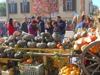 agra festa della zucca