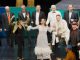 barbiere siviglia varese milano