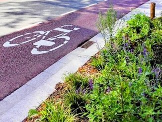green regione euro varesotto 03