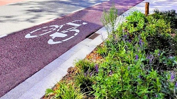 green regione euro varesotto 03