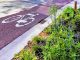 green regione euro varesotto 03