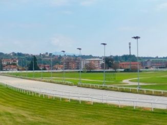 ippodromo varese una sola proposta