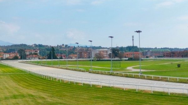 ippodromo varese una sola proposta