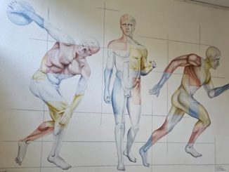 legnano murales scuole progettoattivamente galilei