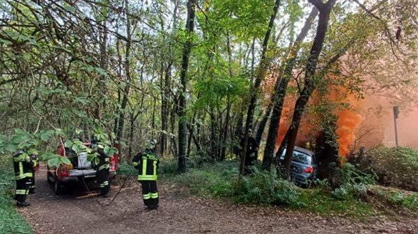 protezionecivile esercitazione