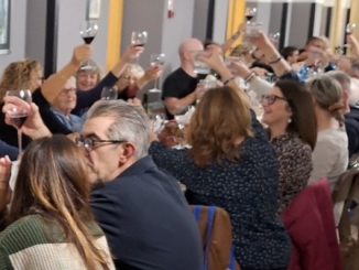 rsa vedano olona festa