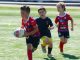 parabiago rugby vivigas sponsor