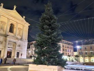Gallarate nuovo albero natale