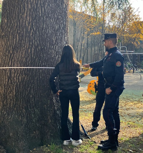 magenta giornata albero carabinieri