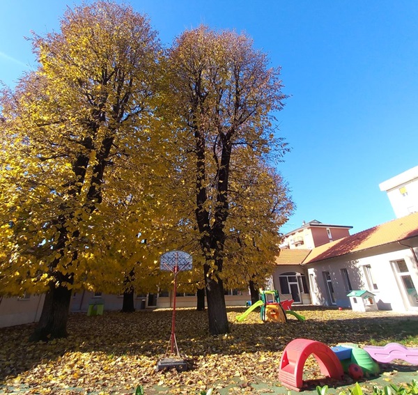 Abbiategrasso scuola dell’infanzia