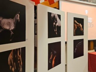 legnano palio calendario contradasanmagno