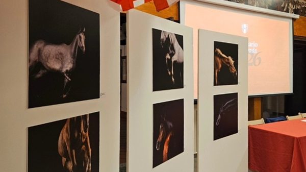legnano palio calendario contradasanmagno