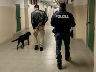Gallarate scuola cani antidroga