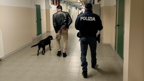 Gallarate scuola cani antidroga