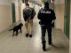 Gallarate scuola cani antidroga